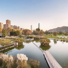 Collection image for: Retiro en Vitacura