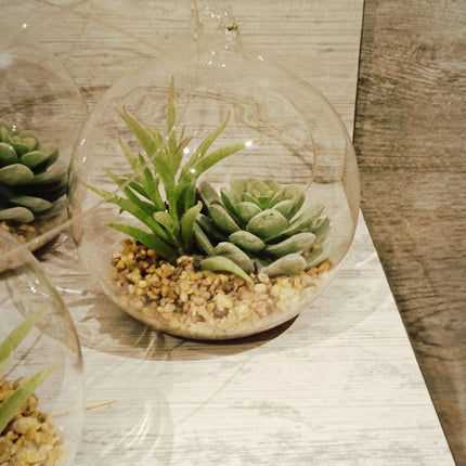 Pack de 4 suculentas decorativas