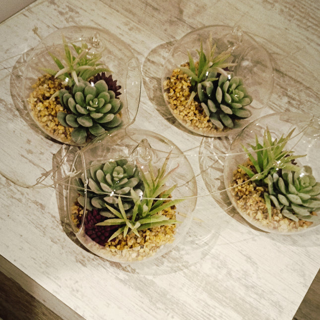 Pack de 4 suculentas decorativas