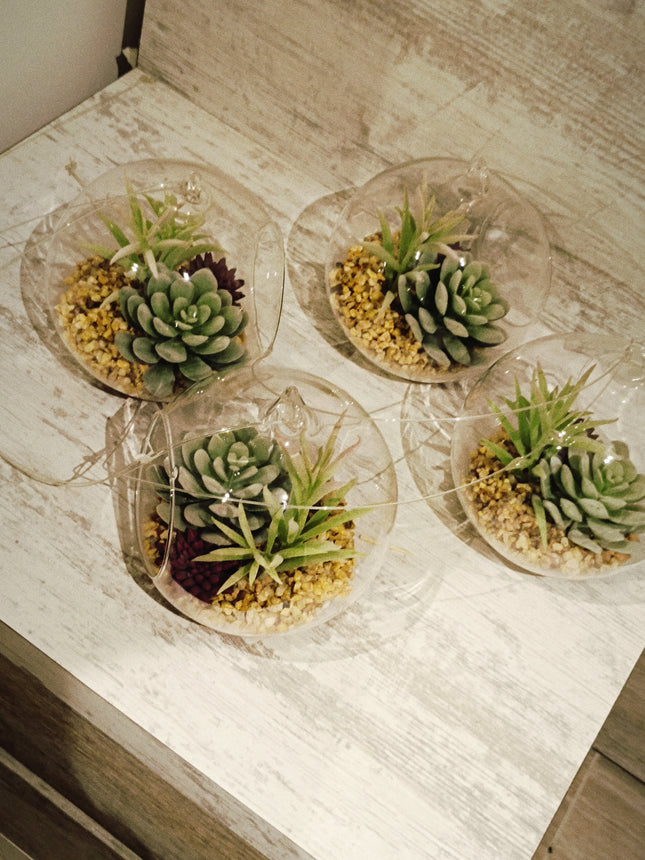 Pack de 4 suculentas decorativas