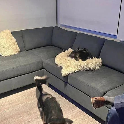¡Sofá Seccional CIC Esperando por Ti! 🛋️