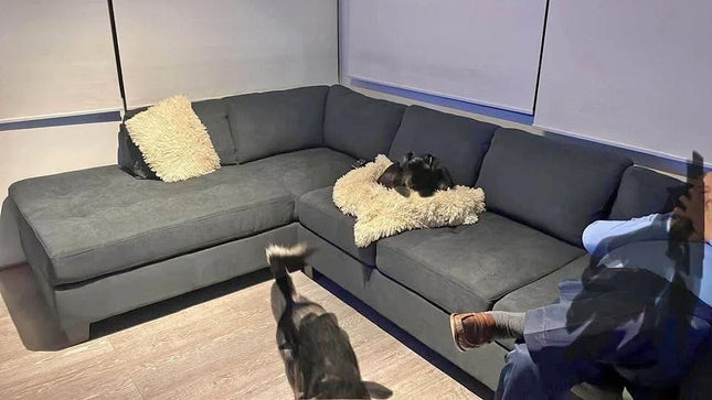 ¡Sofá Seccional CIC Esperando por Ti! 🛋️
