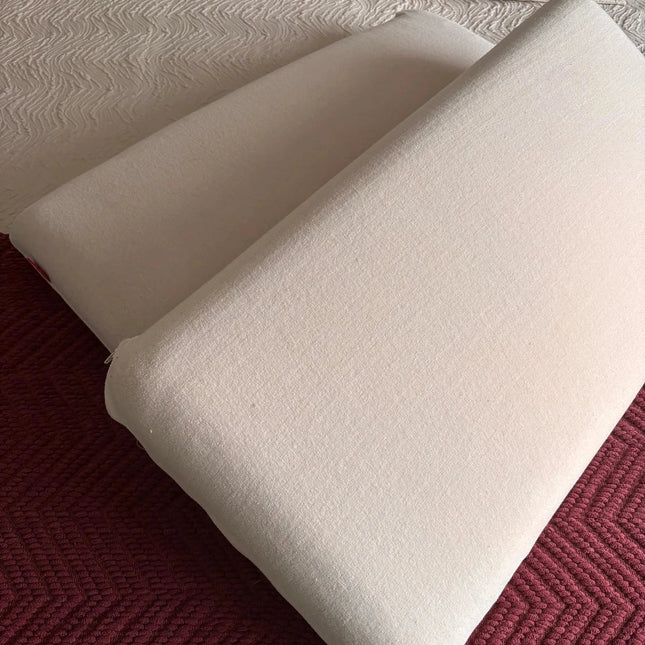 2 Almohadas Viscoelastica marca Rosen con meses de uso